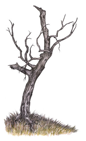 Concept art for Metallica's 'Here Comes Revenge' by Adam Oehlers