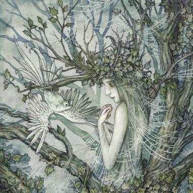 'Arachne' 