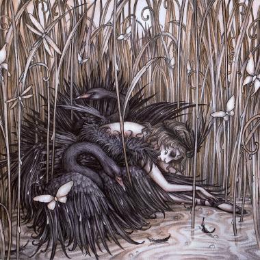 The Dying Swan
