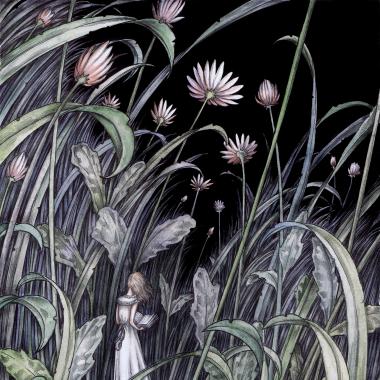 'Flowerbed' by Adam Oehlers