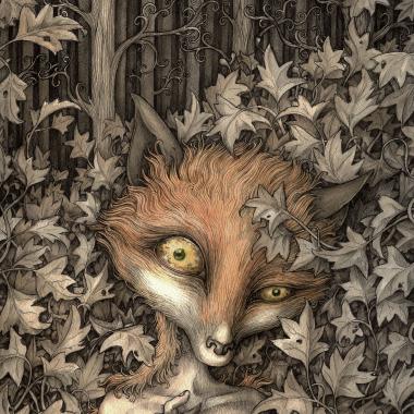 The Fox Boy