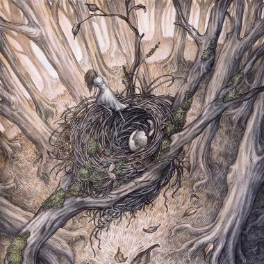 'Hatchling' by Adam Oehlers 