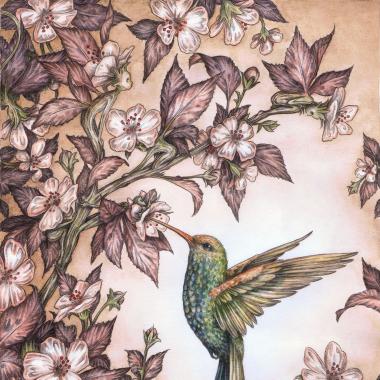 Hummingbird