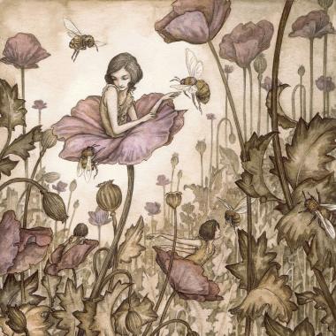 'Poppy Field' Adam Oehlers