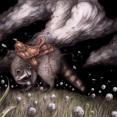 The Saddled Raccoon