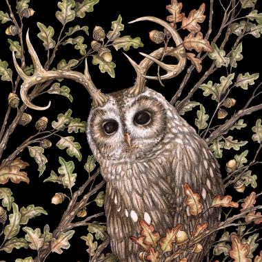 'Watcher in the Oak'