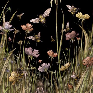 Wild Flower