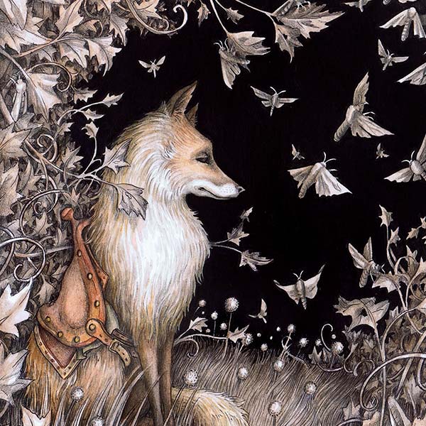 Adam Oehlers Illustration Gallery