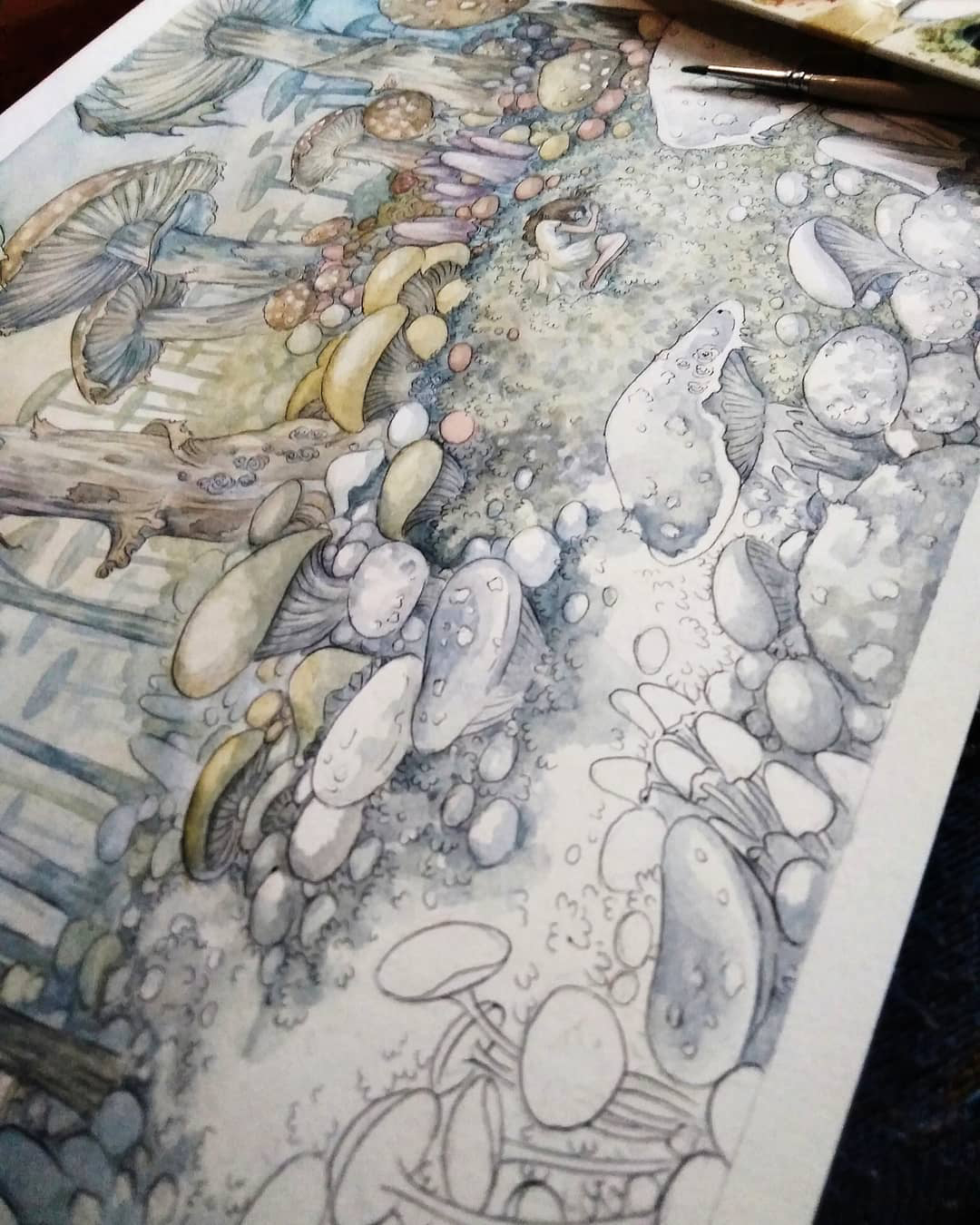 'The Mushroom Garden'