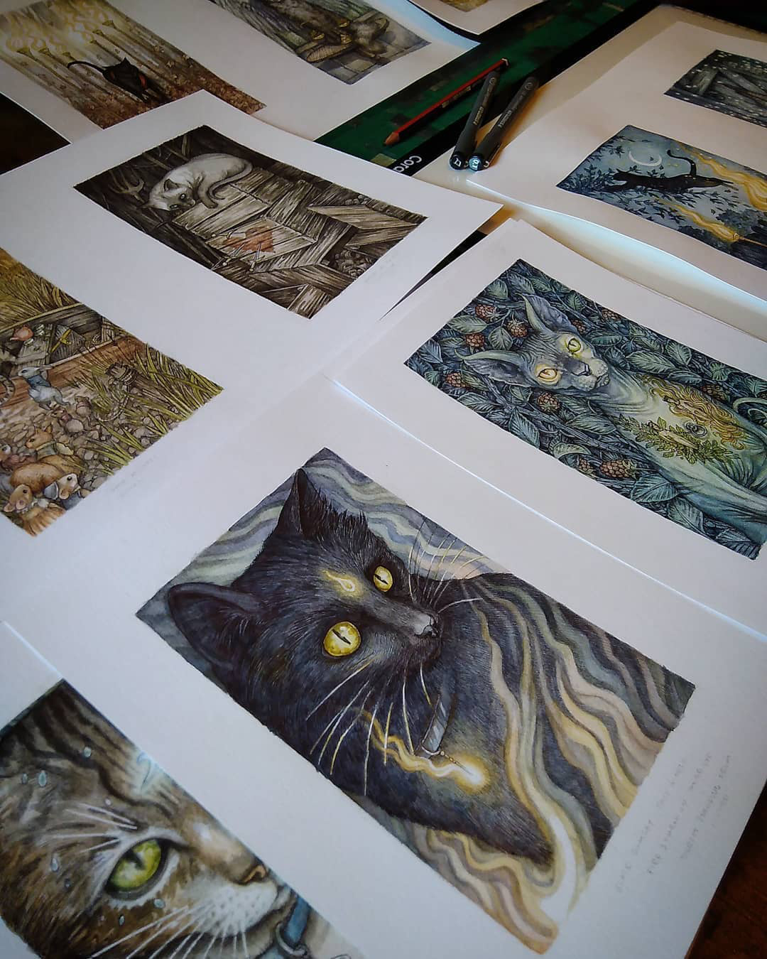 'Soul Cats Tarot' working title