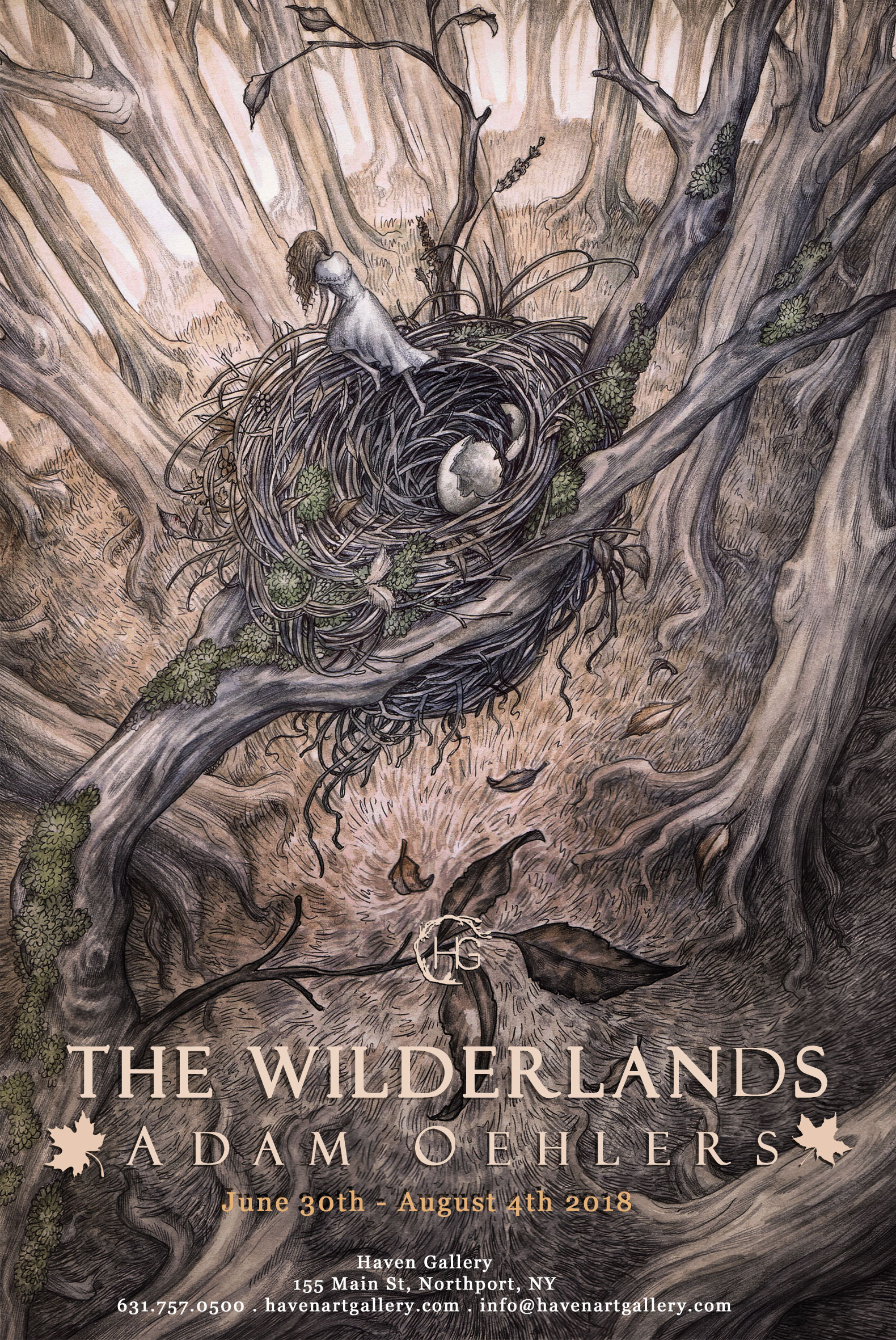 'THE WILDERLANDS'